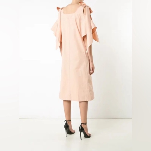 NWT CHLOÉ Ribbon Sleeve Shift Dress – Dusty Pink –
Runway Collection - Picture 3 of 6